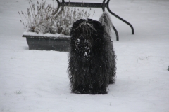 Sneeuw jan 2019