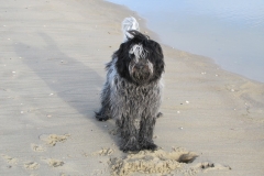 Jari-strand-8mnd