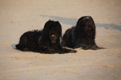 Jikke en Jari Texel mei 2018