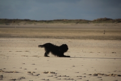 Texel jan 2019