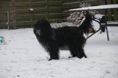 Jikke januari 2019 sneeuw