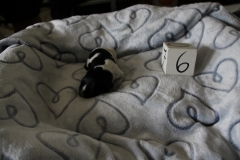 6e geborene, reutje, nestnaam "Hartje"