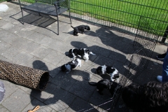 Eerste keer buiten