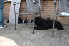 In het zonnetje was het nog best warm dus na alle indrukken lekker in de schaduw in slaap vallen