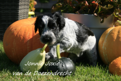 Jonnie-Joxie